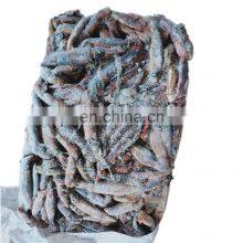 Top Quality China South Sea Black Squid Frozen Black Squid Price Whole Round