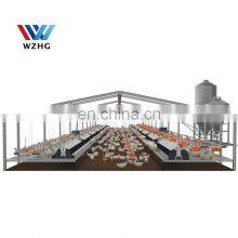 Steel Structure Construction Design Poultry Farming For Pig Shed thumbnail-5