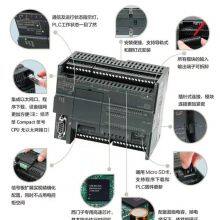 S7-200 SMART CPU SR30 Standard CPU Module Relay Output 6ES72881SR300AA0/1 thumbnail-2