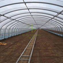 Multi-span Greenhouse thumbnail-2