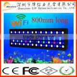 Marine Led Aquarium Light Fixture, 120w Saltwater Coral Reef Led Aquarium Light for 24inch 60cm Reef Tank thumbnail-4