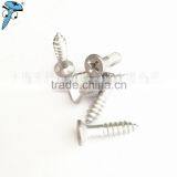 Unique Style Quality Pin Hex Countersunk Self Tapping Screw thumbnail-5
