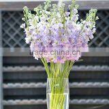 China Stylish Cut Fresh Violet Flowers thumbnail-5