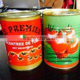 Canned Tomato Paste (1000g) With Brix 28-30% Promotion thumbnail-2