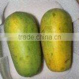 Organic Fresh Papaya From Thailand thumbnail-1