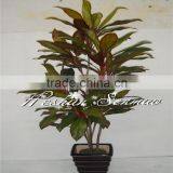 Hot Sell Artificial Small Tree Bonsai Tree for Decoration thumbnail-1