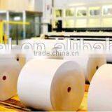 Highest Bulk FBB C1S Ivory Board for Packaging Box thumbnail-6