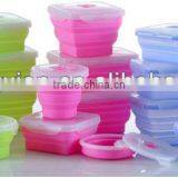 Hot Collapsible Food Container