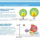 HIFUShape Body Contouring/HIFU Body Shaping/HIFU Fat Reduction System thumbnail-3