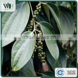 Vietnam Pure Natural Black Pepper 550gl 500gl for Extract thumbnail-4