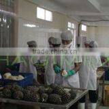 Vietnam Canned Pineapple Chunks in A10 Cans, Competitive Price, High Quality thumbnail-5