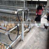 TAIYU A and H Type Galvanized Baby Chick Cage thumbnail-3