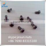China Fasteners Screw thumbnail-4