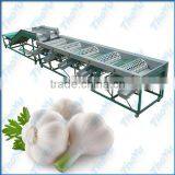 Widely Used Salable Automatic Garlic Grading&Cleaning Machine for Different Fruits(SMS:0086-15903675071) thumbnail-1