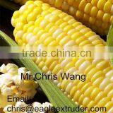 China Made Cost Saving Popcorn Snack Food Production Line thumbnail-3