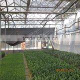 Natural Ventilation Green House for Vegetables thumbnail-4