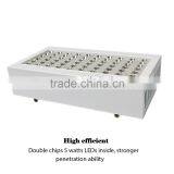 Ebay Best Selling 300w Full Spectrum Led Grow Light for Flowering and Fruiting thumbnail-2