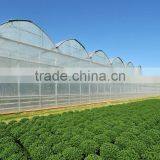 Commercial Greenhouse Galvanized Steel Tube Farm Commercial Greenhouse thumbnail-2