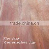 Linyi Rotary Cut Grade a b c no Discolor 0.3mm 4'x8' Okoume Face Veneer thumbnail-6