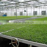 XinHe Grow Seedlings Bed System thumbnail-2