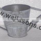 Plant Use Watering Canes, Home Decorative Watering Canes thumbnail-2