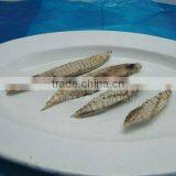 Frozen Bonito Fish Flake for Sale thumbnail-1
