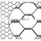 Hexagonal Galvanized Chicken Farming Wire Mesh thumbnail-3