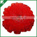 Wholesale Red Color Chrysanthemum Sola Flower for Fragrance Diffuser
