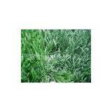 Artificial Turf Lawns