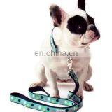 PetsLovers Premium Dog Leash - Heavy Duty Strap, Padded Handle, Ambient Colors - 6 Feet Length, 1 Inch Width