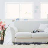 Silk Artificial Orchid for Home Decoration thumbnail-3