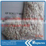 Frozen Scallop For American With Sea Scallop/bay Scallop thumbnail-1