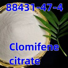 Raw Steroid Powders Clomiphene Citrate CAS 88431 - 47 - 4