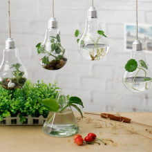 Home Decoration Hand-blown Hanging Mini Indoor Bulb Shaped Glass Plant Terrariums Vase thumbnail-2