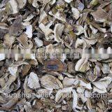 Edulis Porcini Mushrooms Grade AAA Boletes From Yunnan Sunshine Trading Co.,Ltd thumbnail-6