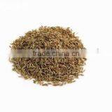 Cummin Seeds (2010 New Crops) thumbnail-1