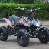 350W24V 500W 800W36V Electric Mini Atv New