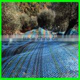 2016 100% Virgin HDPE/PE UV Added Long Life Span Plastic Olive Harvest Nets/olive Collection Net thumbnail-6