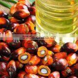 Long Time Working Fruit Palm Threshing Machine/fresh Palm Process Machine/palm Thresher thumbnail-6