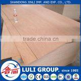 Hot Sale Door Skin Plywood thumbnail-6