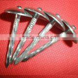 65mm Galvanized Roofing Nails With Umbrella Head thumbnail-6