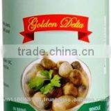 Canned Straw Mushroom thumbnail-1