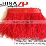 CHINAZP Hot Sale Feather Size 5-6 Inch Strip Two Ply Dyed Red Ostrich Fringe Trim Feathers on Ribbons thumbnail-4