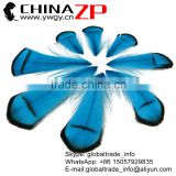 Leading Supplier CHINAZP Factory Bulk Sale Best Dyed Blue Lady Amherst Pheasant Tippest Feathers Plumage