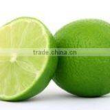 Big Size Fresh Lemon, Fresh GREEN Lime IN 2016 SAISON thumbnail-2
