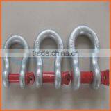 Factory Price Customized Eye Nut Eye Bolt d Shackle