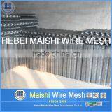 GI Welded Wire Mesh thumbnail-2