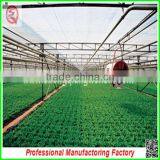 Large Muti-span Hydroponical Polycarbonate Sheet Greenhouses From China Manufacturer thumbnail-4