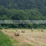 White Silage Baler Net Wrap ,hay Bale Netwrap thumbnail-5