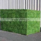 SJ0411013 Garden Decoration Artificial Plastic Milan Boxwood Hedge thumbnail-1